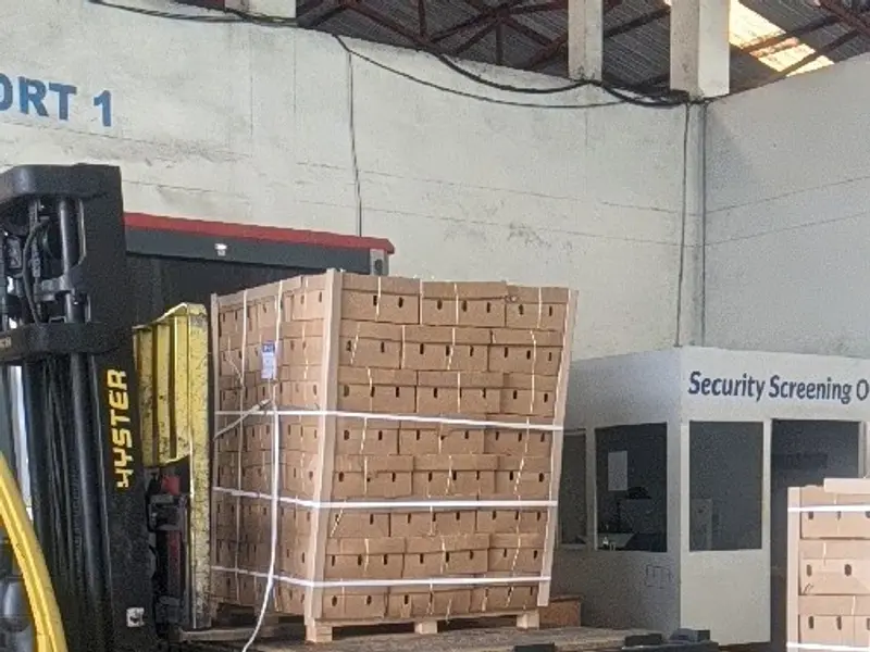 Forklift loading export pallets at the airport